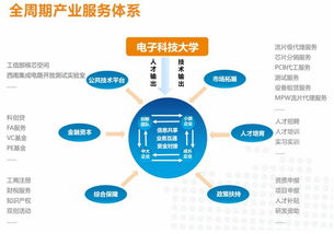 科技賦能，精益運營 電子科大科技園晉級國家級孵化器的實踐與啟示